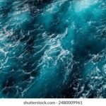 3d开奖结果查询最新最准今日实时更新 07raj4c