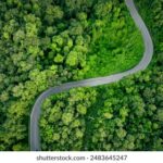 2017年MotoGP西班牙大奖赛全程高清直播 0sq7s8g