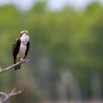 3D开奖结果实时查询软件:精准数据一键掌握 108j0a6