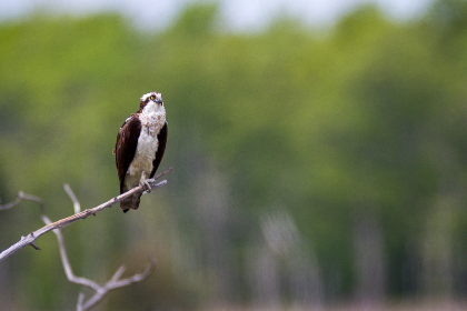 3D开奖结果实时查询软件:精准数据一键掌握
