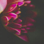 2017年中国越兵跨国军演现场直播全纪录 220aj0