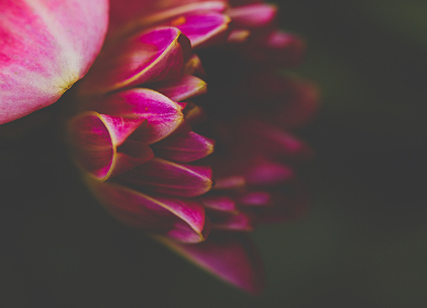 2017年中国越兵跨国军演现场直播全纪录