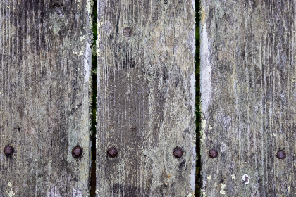 2017年世界女排大奖赛CCTV5全程直播精彩对决