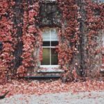 3d开奖结果排例五最新开奖号码公布 4p20ix