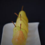 2017年土伦杯国际青年足球锦标赛全程直播 5lzny428