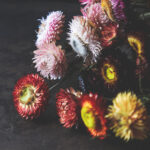 2017年3d开奖号码全年详细汇总 8mcrvlb