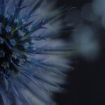 2017年男排联赛精彩对决全程直播 eb0dmcn