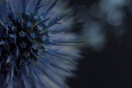 2017年男排联赛精彩对决全程直播