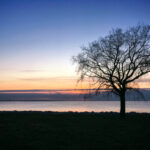 3D开奖结果公布时间及最新开奖号码查询 gho5mtnu