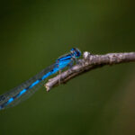 3D开奖结果查询及历史开奖数据完整汇总 io21x4l2aq