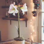 2017年曼岛TT摩托车大赛惊险实况直播全纪录 j3z065