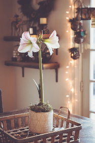 2017年曼岛TT摩托车大赛惊险实况直播全纪录