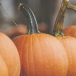 3d开奖结果历史查询与完整开奖数据汇总 r4brt1i