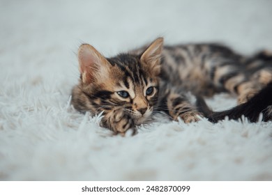 2017年中国国庆盛典现场直播全纪录