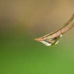 2017年NBA赛事全程直播,精彩对决不容错过! wvrfmqbftc