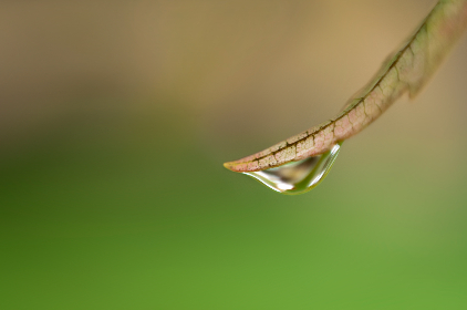 2017年NBA赛事全程直播,精彩对决不容错过!